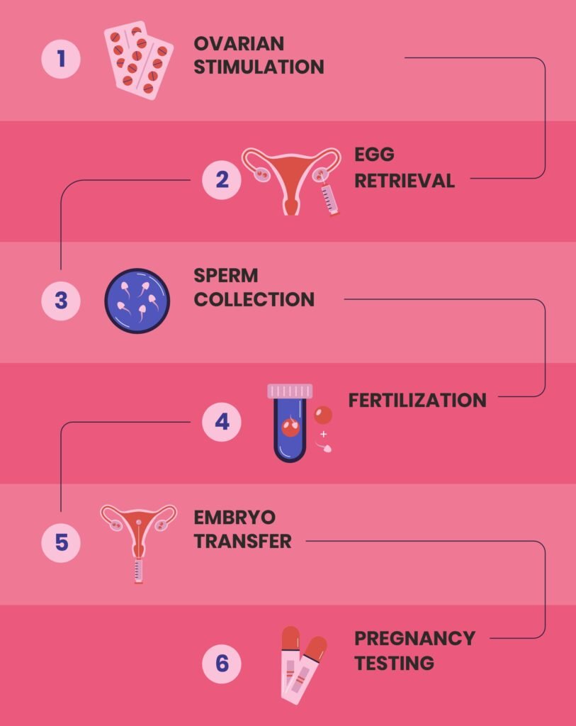 IVF Process
