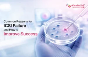 Common Reasons for ICSI Treatment Failure and How to Improve Success