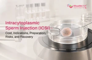 Intracytoplasmic Sperm Injection (ICSI) - Cost, Indications, Preparation, Risks, and Recovery